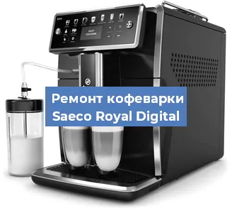 Чистка кофемашины Saeco Royal Digital от кофейных масел в Екатеринбурге